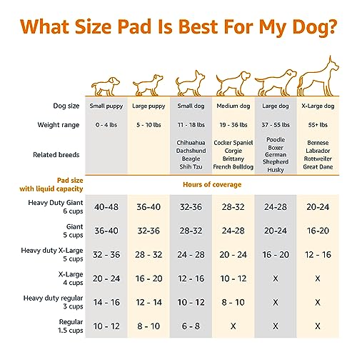 Amazon Basics Almohadillas de adiestramiento de perros y cachorros, diseño de 5 capas a prueba de fugas con superficie de secado rápido, regular, 56 x 56 cm, 150 unidades, Azul